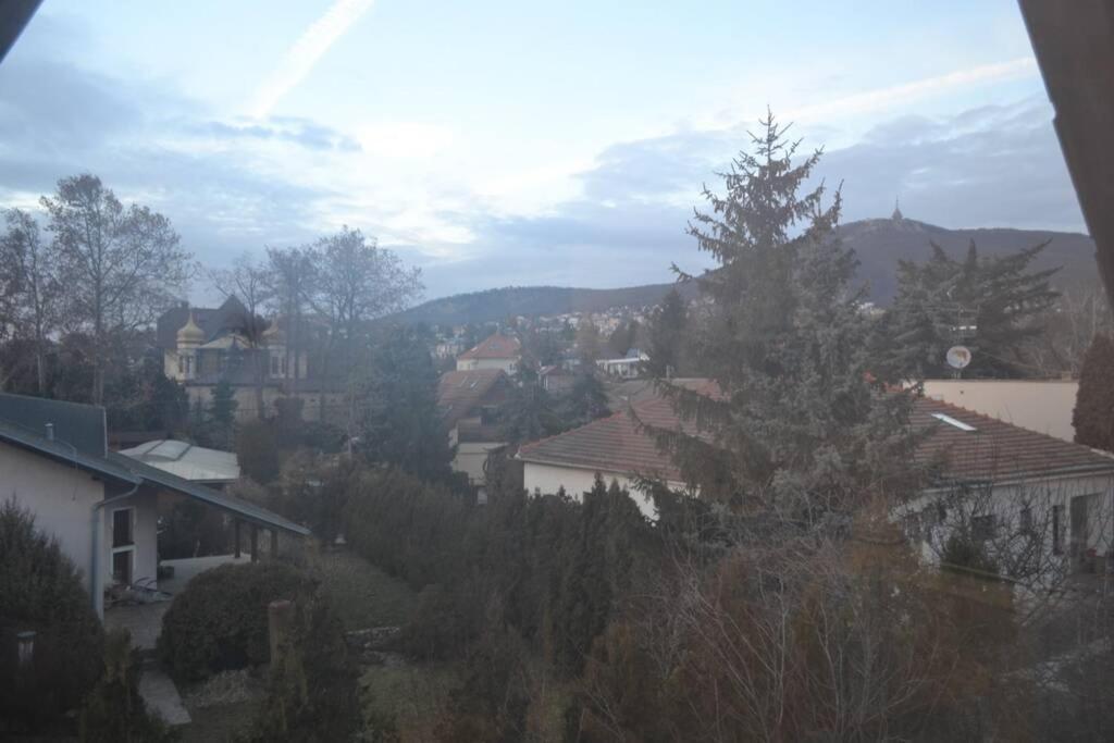 Appartement In Nitra Under The Zobor-Hill מראה חיצוני תמונה